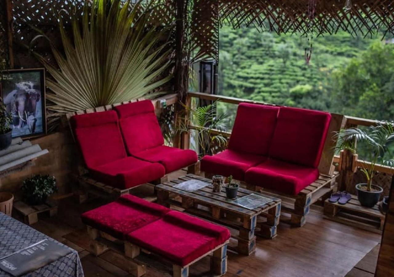 Hostel Tree House Cafe Ella Exteriér fotografie